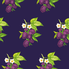 Vector seamless floral pattern with blackberry.
