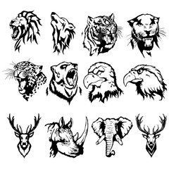 Isolated illustration of the head of an eagle, an owl, a deer, a lion, a wolf, a tiger, a panther, a leopard, a bear, a rhinoceros and an elephant