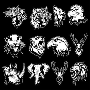 Isolated illustration of the head of an eagle, an owl, a deer, a lion, a wolf, a tiger, a panther, a leopard, a bear, a rhinoceros and an elephant