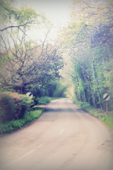 Country road going through woods and trees
