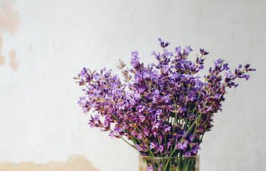 Bouquet of lavender in a glass against a white wall background