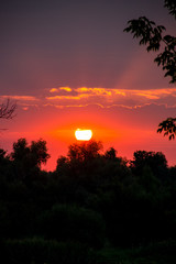 Bright solar disk over a trees at sunrise