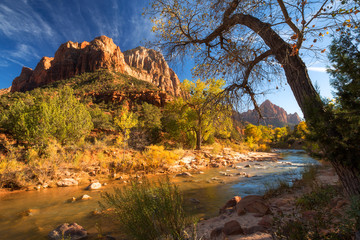 View of the Watchman mountain and the virgin river in Zion National Park located in the Southwestern United States.