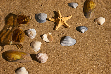 Fototapeta na wymiar Starfish with sun glasses on a beach sand, vacation and summer time concept. Summer background with copy space.