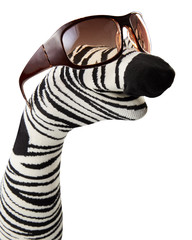 Sock striped puppet with sunglasses