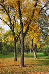Park in Nis fortress. Serbia