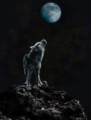 Obraz premium Samotny wilk śpiewa do księżyca swoją smutną piosenkę