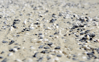 mixed black and white small stone in beach