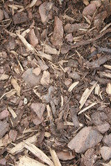 Rindenmulch