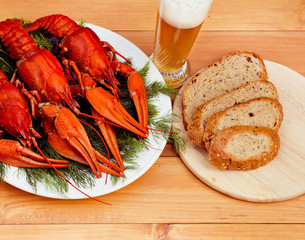 Boiled red crawfish on a white plate with green fennel on a wooden background. Tasty red steamed rawfish closeup on wood table, glass of beer and rye bread, seafood dinner, nobody.