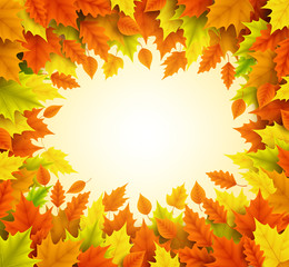 Autumn vector background with empty blank space for text and boarder frame of fall season leaves in orange and yellow color. Vector illustration.
