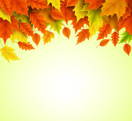 Naklejka na ściany i meble Autumn background vector template of orange and yellow maple leaves falling for fall season with empty blank space for text. Vector illustration. 