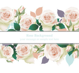 Pink delicate roses card Vector. delicate summer card. Springtime fresh natural composition