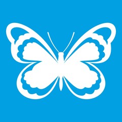 Small butterfly icon white