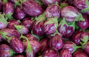 Fototapeta na wymiar Small Edirne Purple Striped Eggplants for sale at local street market. Provence. France