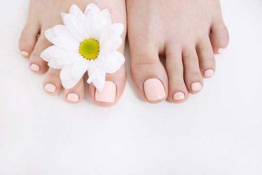 Perfect nude pedicure on white background and spring flower. Female feet top view with free space. Result of spa salon procedure