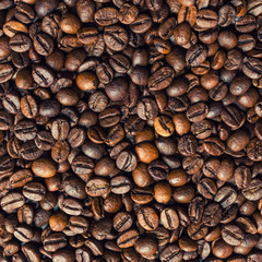 Roasted coffee beans on dark background. Selective focus.