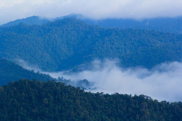 blue mountains in nature under white cloud