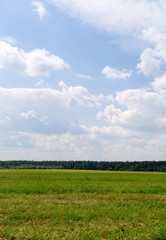 white clouds in the sky  over the field and forest. background, nature