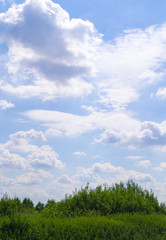 Obraz na płótnie Canvas white clouds in the sky over the field. background, nature