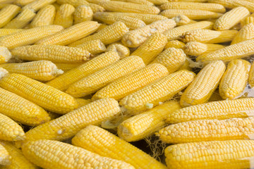 corn boil vegetarian food