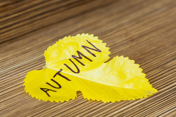 Autumn yellow leaf with inscription Autumn on the wooden background. Selective focus, closeup