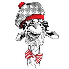 Naklejka premium Giraffe portrait in a beret. Vector illustration.