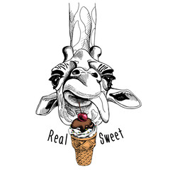 Naklejka premium Portret żyrafa z lodami i wiśnią. Ilustracji wektorowych.