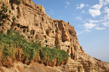 Fototapeta na wymiar Ein Gedi national park. Israel