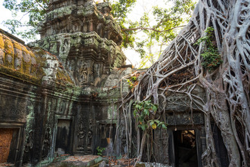 Ruins of Ta Prohm, Angkor Wat, Cambodia