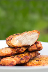 Pieces of turkey are cooked on charcoal. In a white plate against a background of green grass