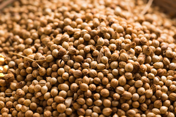 Coriander seeds on a wood background