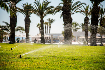 Obraz premium sprinkler head watering the trees and grass in the garden
