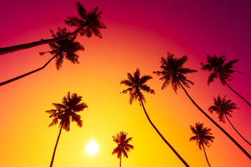 Fototapeta na wymiar Palm trees at vivid tropical beach sunset with shiny sun