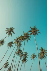 Fotobehang Palmboom Hoge palmbomen op tropisch strand met heldere hemel op achtergrond vintage kleur gefilterd met kopie ruimte