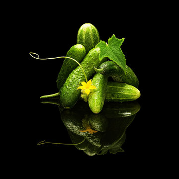 Bunch of fresh cucumbers isolated on a black background