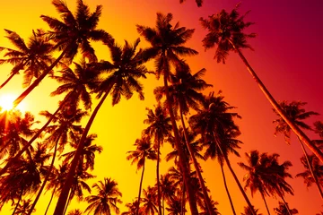 Papier Peint photo Palmier Tropical beach sunset with palm trees silhouettes