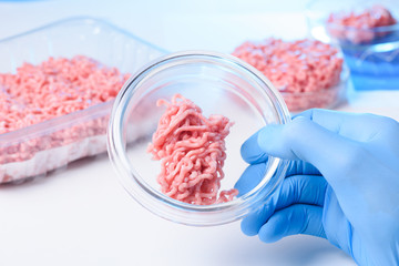 Raw lab meat sample in closed petri dish