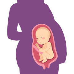 Cute unborn fetus baby on mother womb
