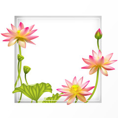 Pink lotus. Beautiful floral background. Buddhism. Square flower frame. Border. SPA-center. Eastern philosophy. India. Water lily. Health. Cosmetics.