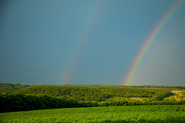 Beautiful summer landscape. Rainbow in the sky. A bright sunny day.