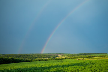 Naklejka premium Beautiful summer landscape. Rainbow in the sky. A bright sunny day.