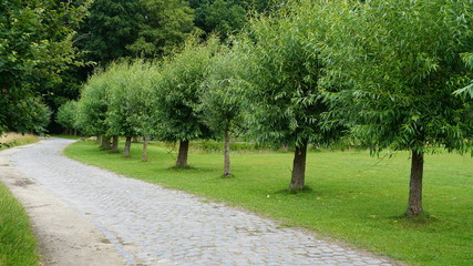 Road on the coutryside