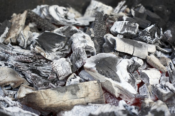 Barbecue preparation