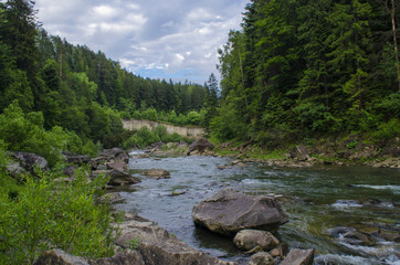 mountain river with a rapid flow of water along the rocks