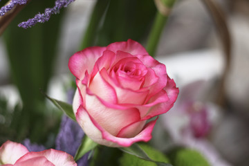 Beautiful bouquet of roses and other flowers