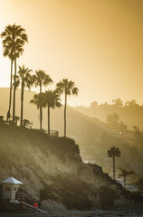 Laguna Beach Cliffs Sunrise - obrazy, fototapety, plakaty