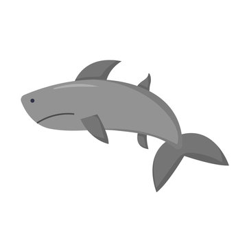 Vector cartoon isolated shark