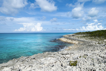 Caribbean Rocky Coastline