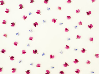 Flowers composition. Frame made of bluebell and lupine flowers on white background. Easter, spring,...